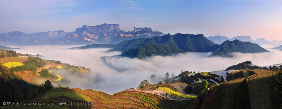 空中 梯田 张家界 空中梯田 仙景 张家界风光 湖南 湘西 石柱 国画风格 风景名胜 山峦 山峰 袁家界 天子山 旅游 岩石 地质 旅行 照片 摄影照片 国内旅游 旅游摄影