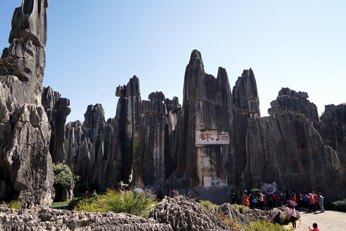 云南 旅游 石林 风景 世界自然遗产 喀斯特地貌 自然风景 旅游摄影 国内旅游