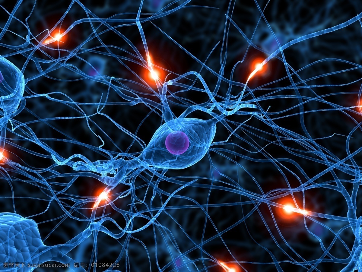 神经组织 神经 神经细胞 神经元 神经纤维 细胞 细胞膜 细胞质 细胞核 轴突 树突 思维 透视人体图 医疗护理 现代科技