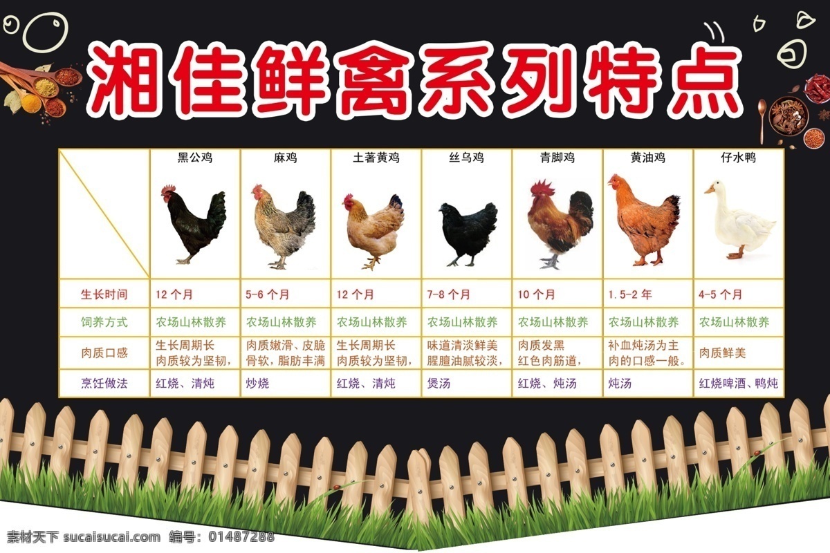 湘佳鸡 鸡类 家禽广告 鲜禽 特点