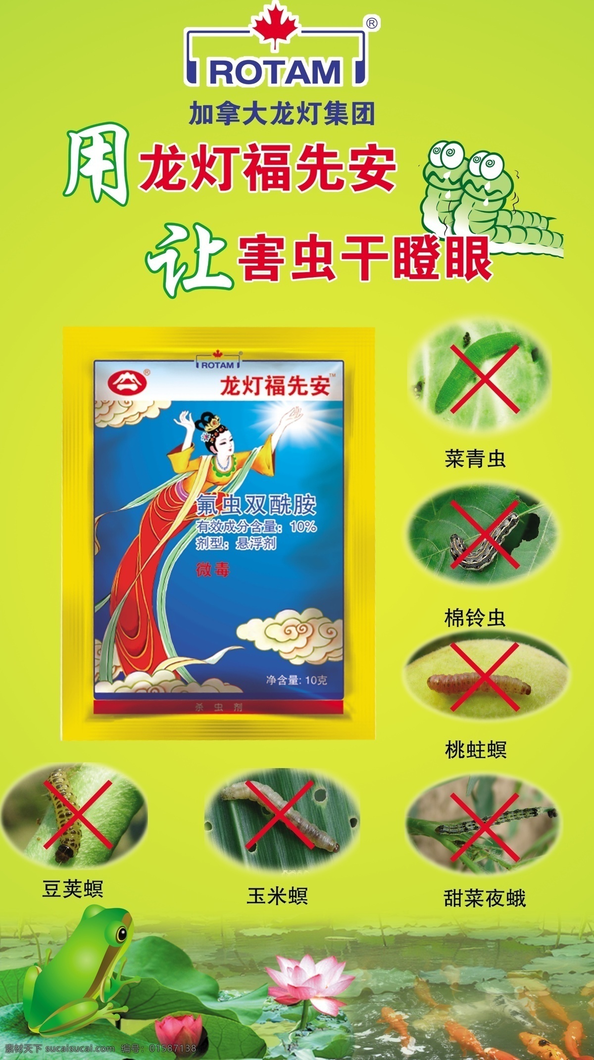 分层 虫子 各种 荷花 金鱼 绿色版面 青蛙 源文件 各类 虫 模板下载 各类虫 水 psd源文件