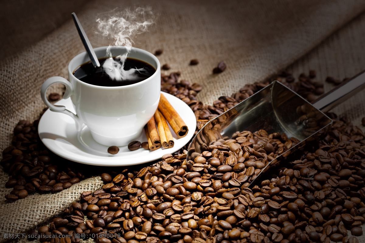 咖啡 原材料 热 热咖啡 咖啡豆 咖啡果 咖啡原料 咖啡杯子 酒水饮料 餐饮美食 咖啡图片