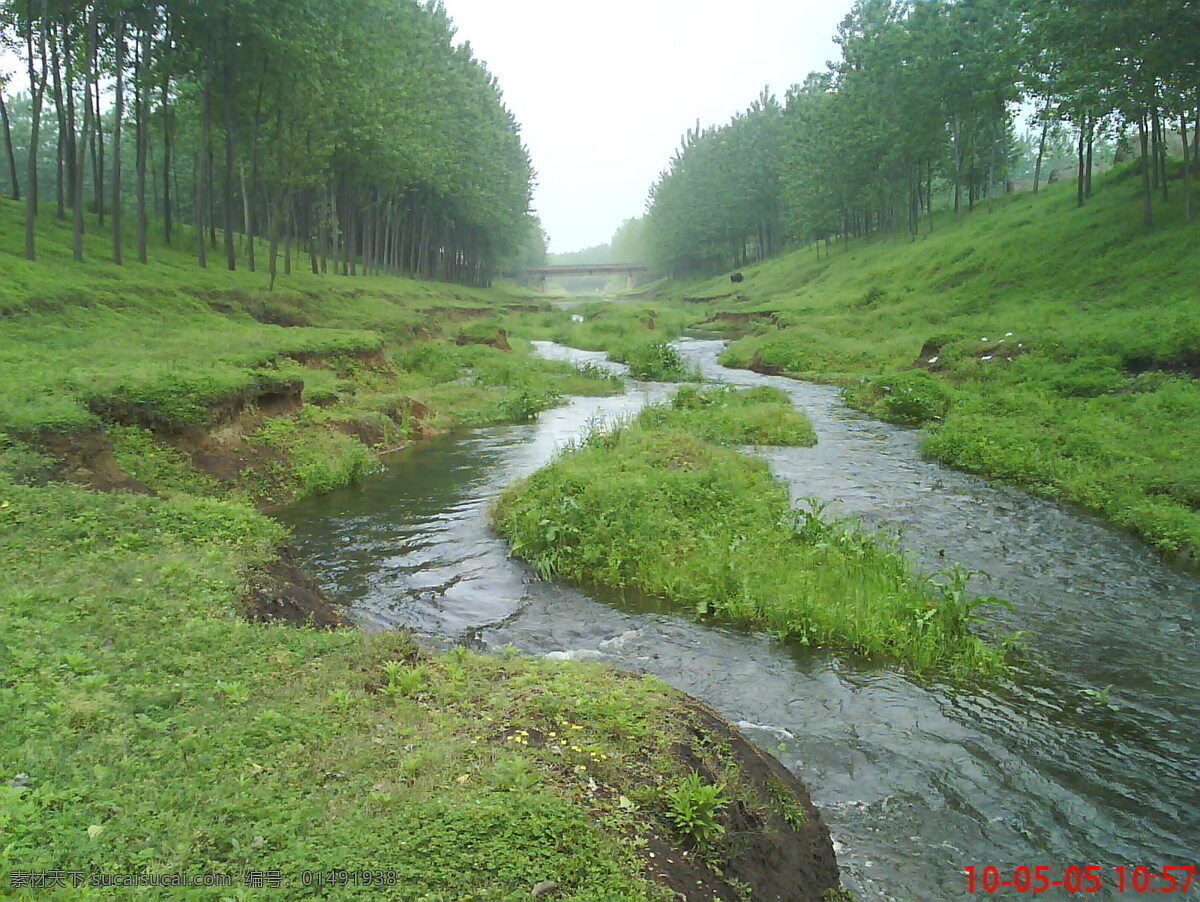 林间 小溪 流水 山水风景 自然景观