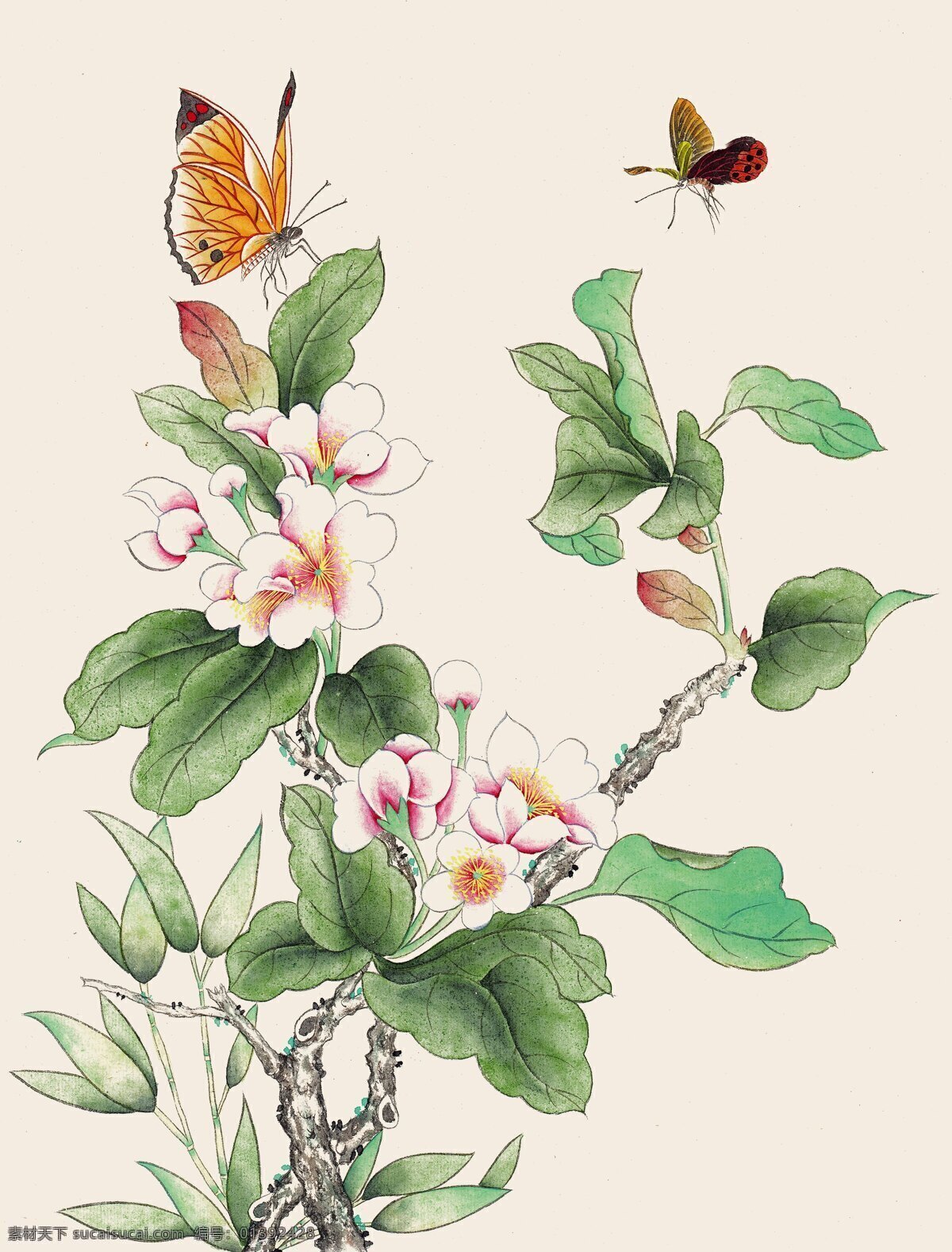 牡丹 蝴蝶 国画 中国画 绘画艺术 装饰画 书画文字 文化艺术