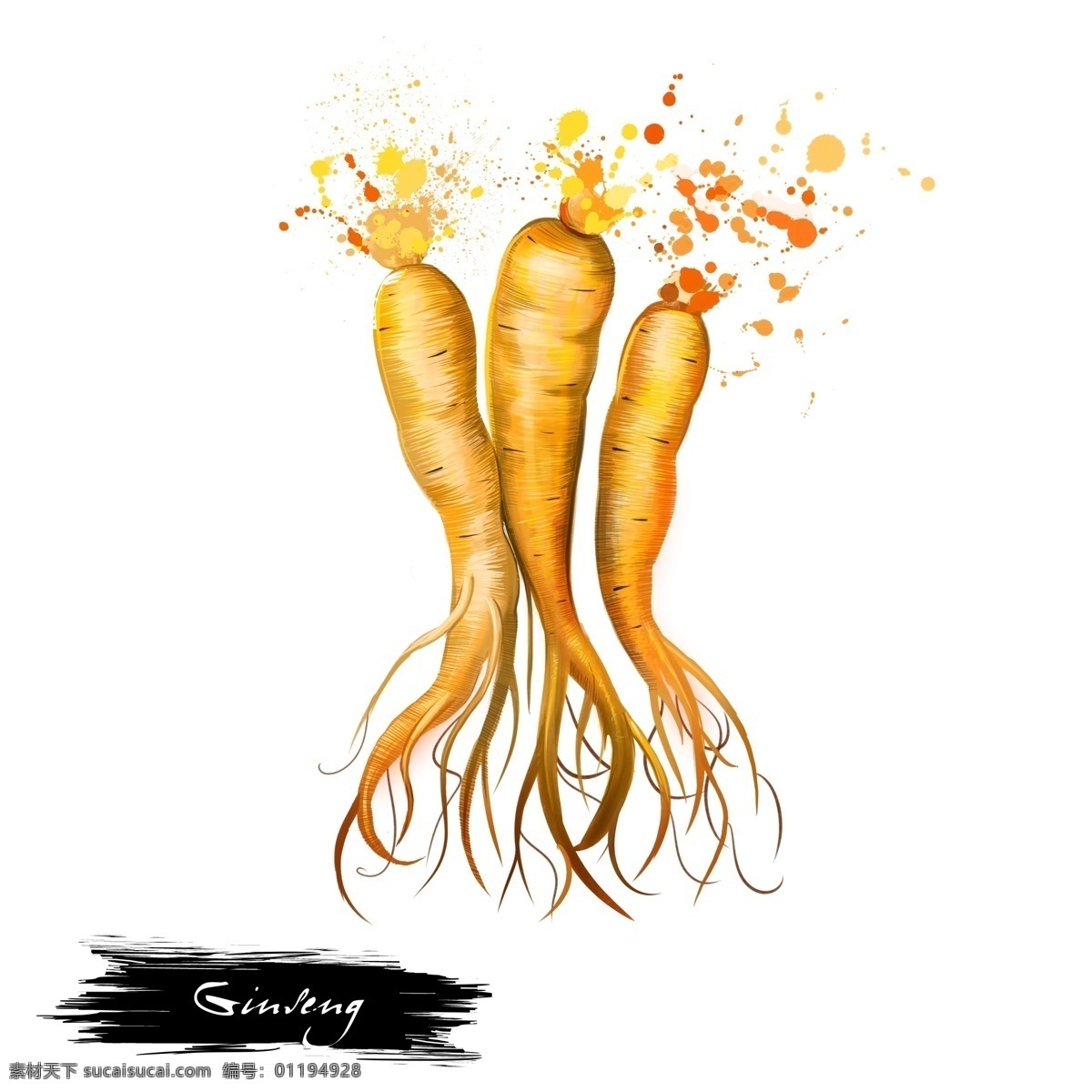手绘 水彩 三根 萝卜 源文件 橙色 根茎 蔬菜 颜料 装饰图案