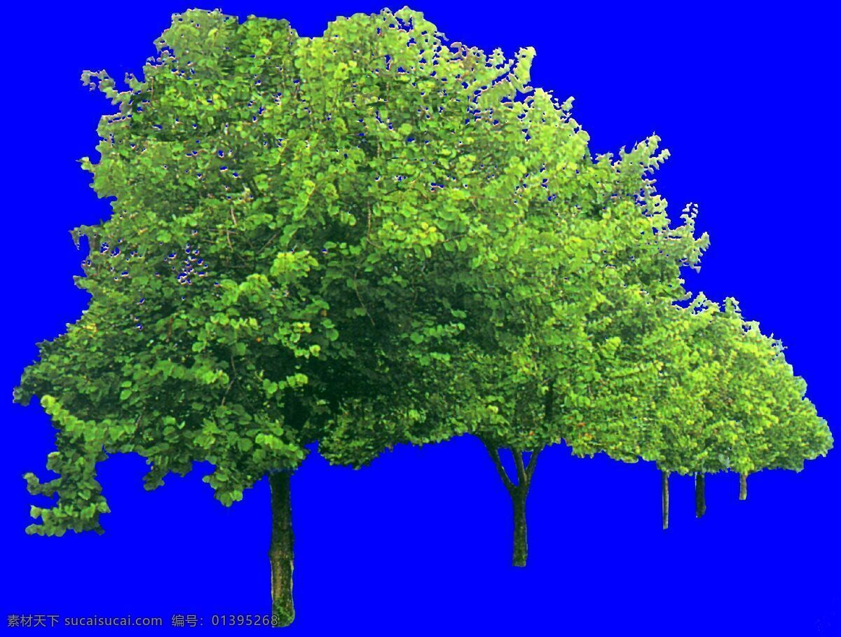 树丛 38 植物 园林植物 多棵 树群 配景素材 园林 建筑装饰 设计素材 3d模型素材 室内场景模型