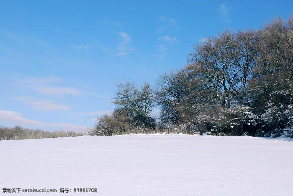 雪景 股票 ps笔刷