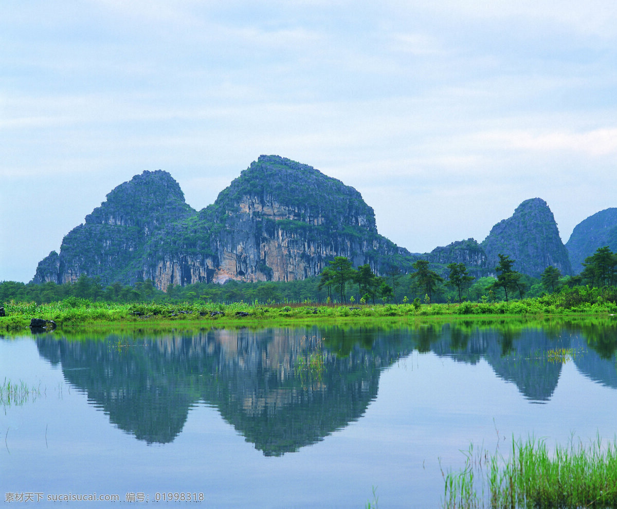 树免费下载 风景 山水风景 摄影图 树 植物 自然景观 水 家居装饰素材 山水风景画