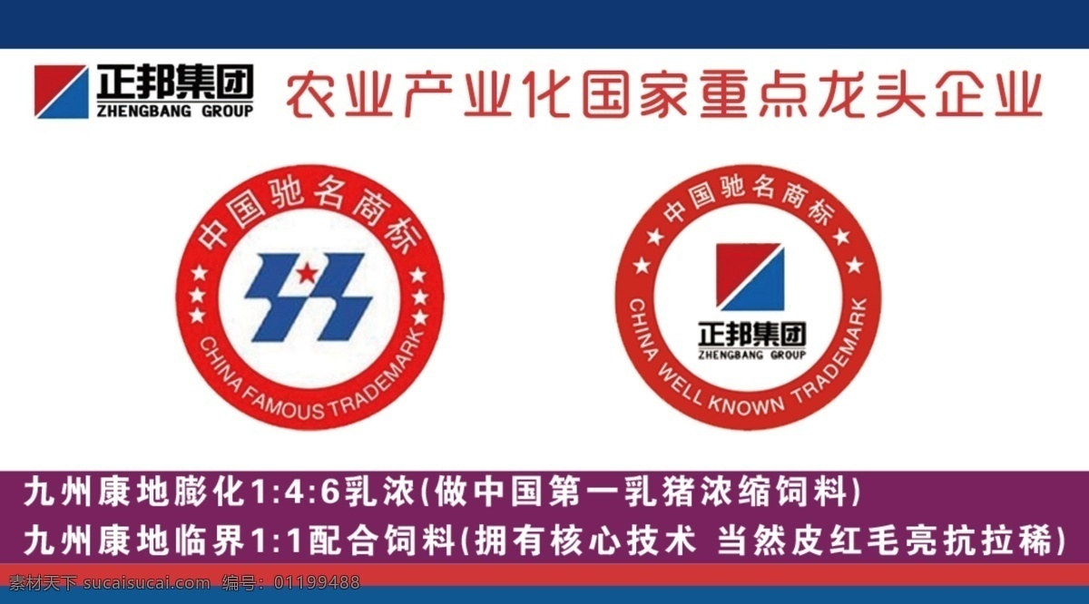 正 邦 集团 名片 正邦集团 正邦 九洲 康第 分层