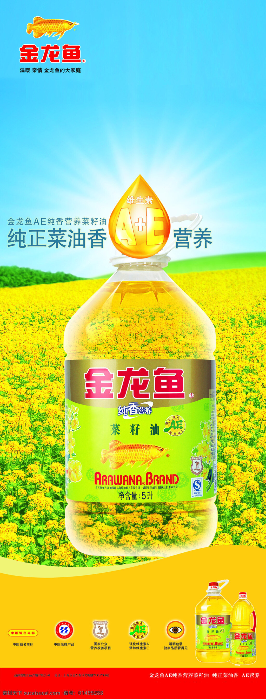 食用油 宣传单 促销 活动 非转基因 大豆油 葵花籽油 玉米油 黄色