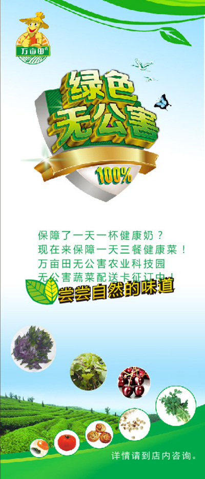 无公害 易拉宝 展架 绿色 绿地 水果 野菜 白色