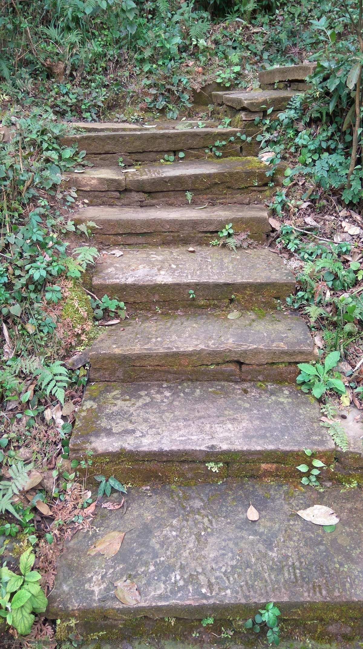 石板路 石板 小路 乡村小路 碎石板 生态 自然景观 田园风光