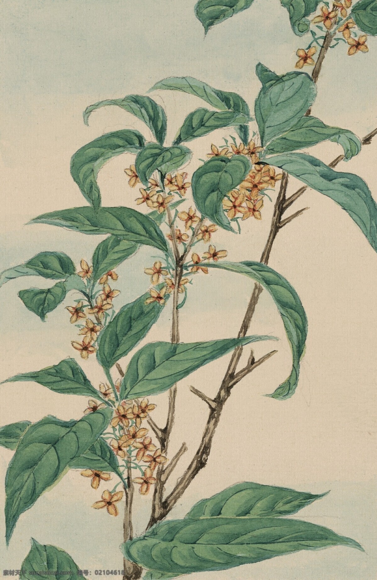 手绘水彩花卉 水彩画 装饰画 花 工笔画 手绘花朵 国画 水墨画 文化艺术 绘画书法