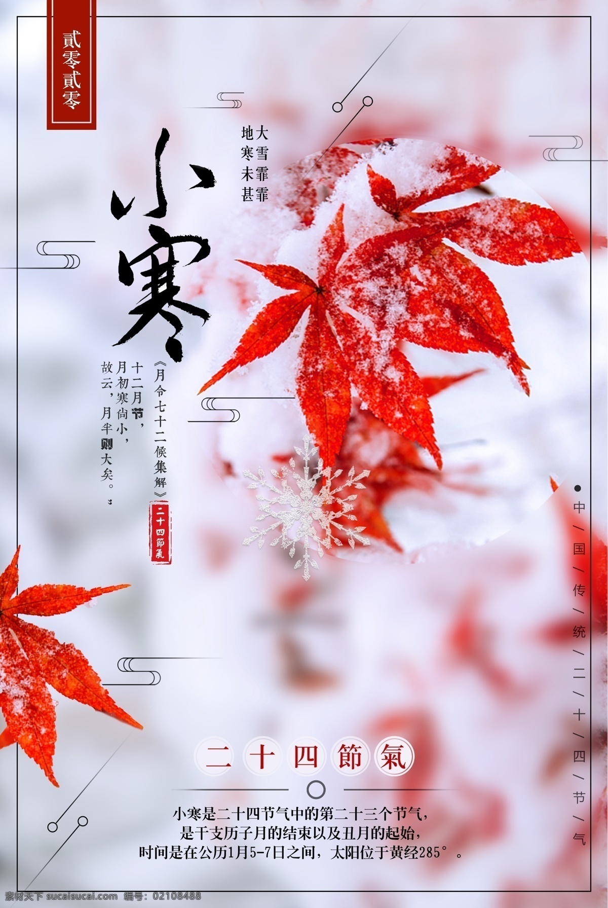 二十四节气 小寒 海报 简约 中国 传统