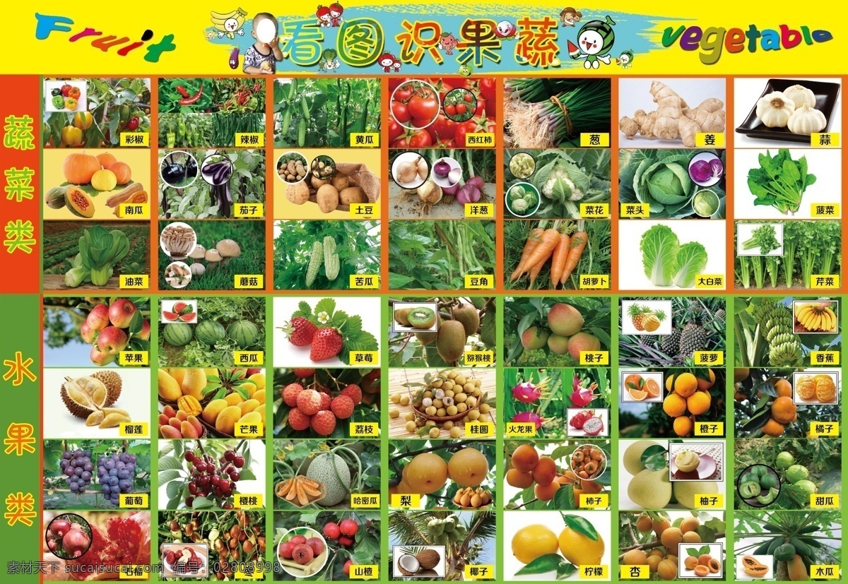 看 图 识 蔬菜水果 看图识果蔬 识果蔬 水果蔬菜 儿童 益智类