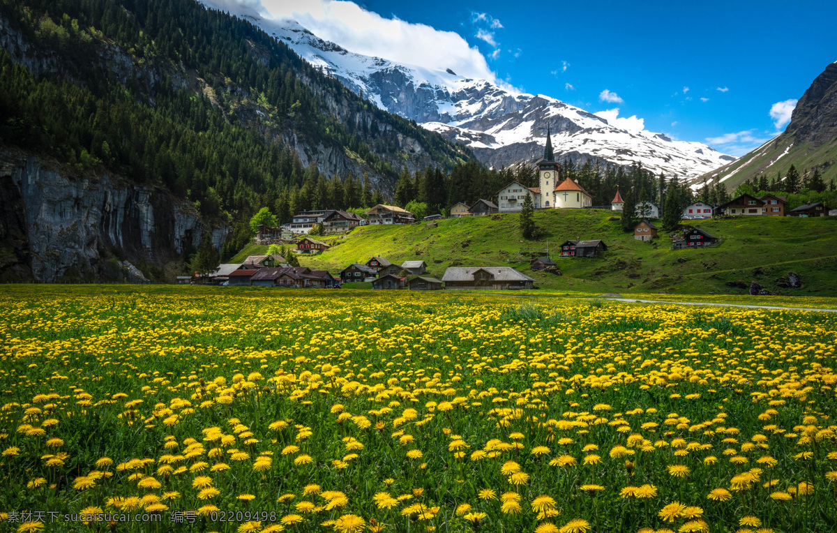 瑞士 房屋 山 蒲公英 花草 天空 蓝天 白云 自然景观 自然风景