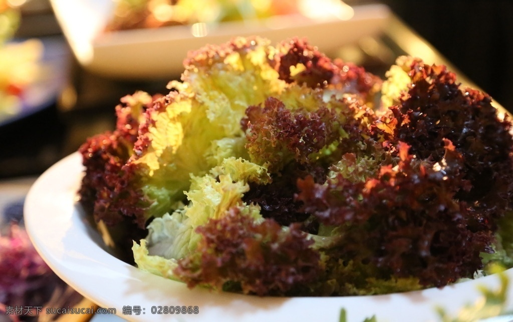 红叶生菜图片 西餐自助餐图 西餐精美图片 西餐美食摄影 自助餐美食图 餐饮美食 西餐美食