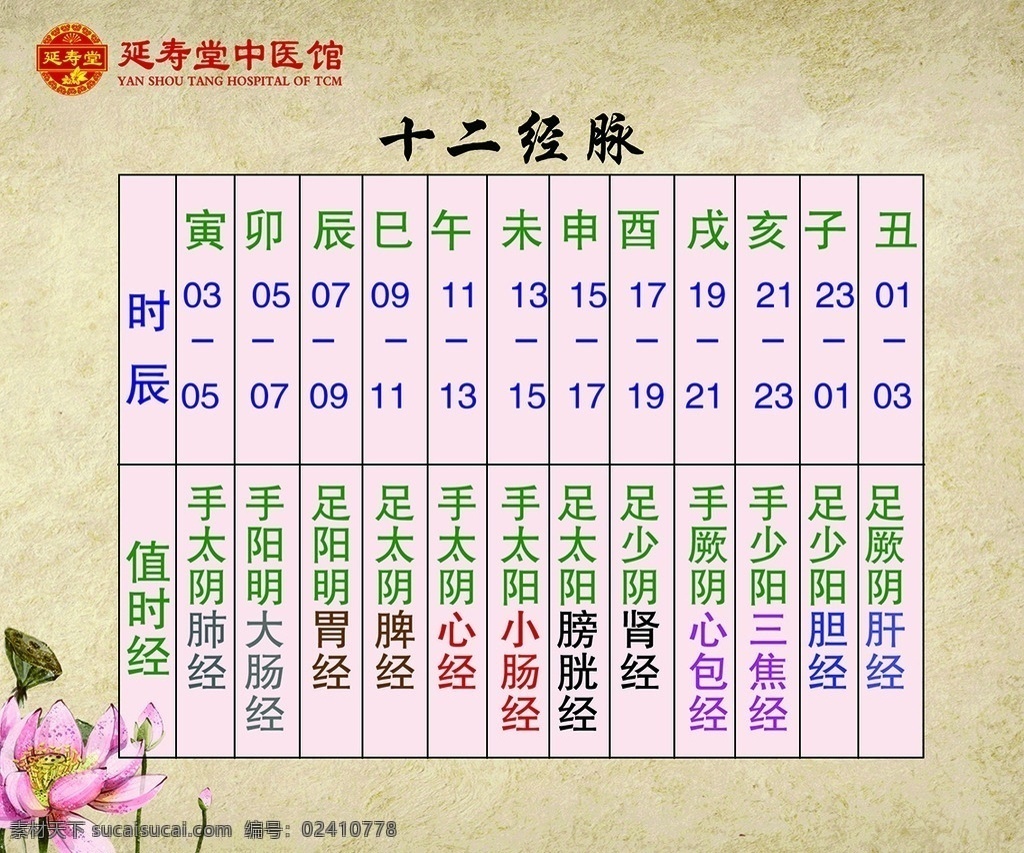 十二经脉 时辰 值时经 养生 中医 分层