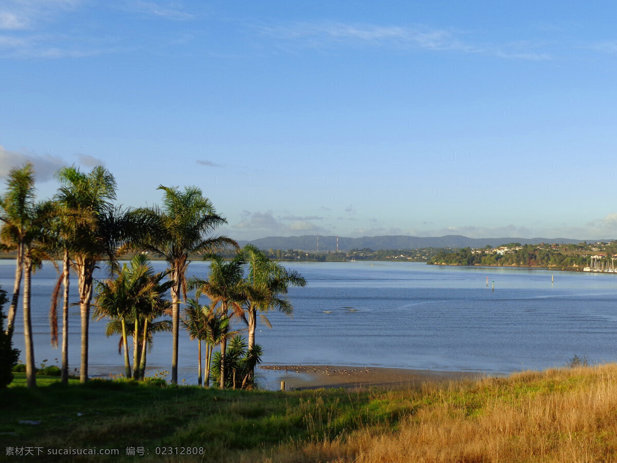 新西兰 海滨 风景 天空 蓝天 白云 远山 建筑群 大海 海水 棕榈树 草地 风光 自然风景 自然景观