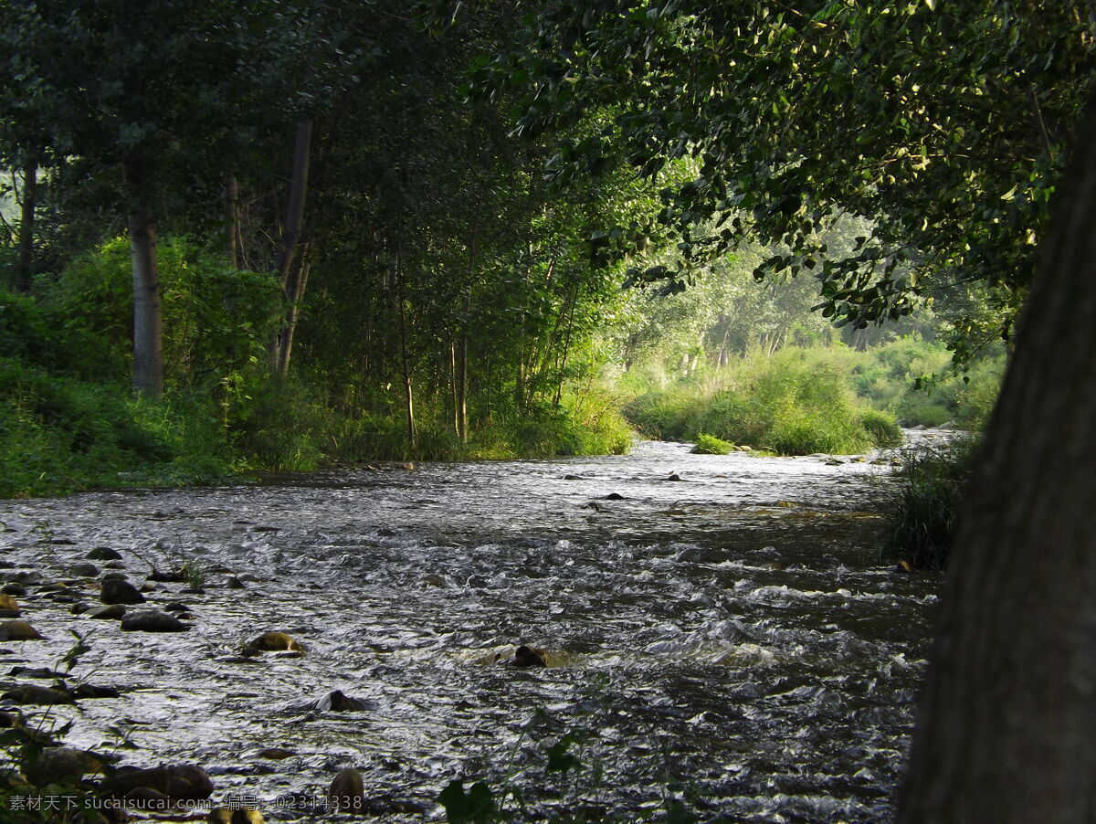 小河淌水 小河 清流 绿树 青草 自然风景 自然景观