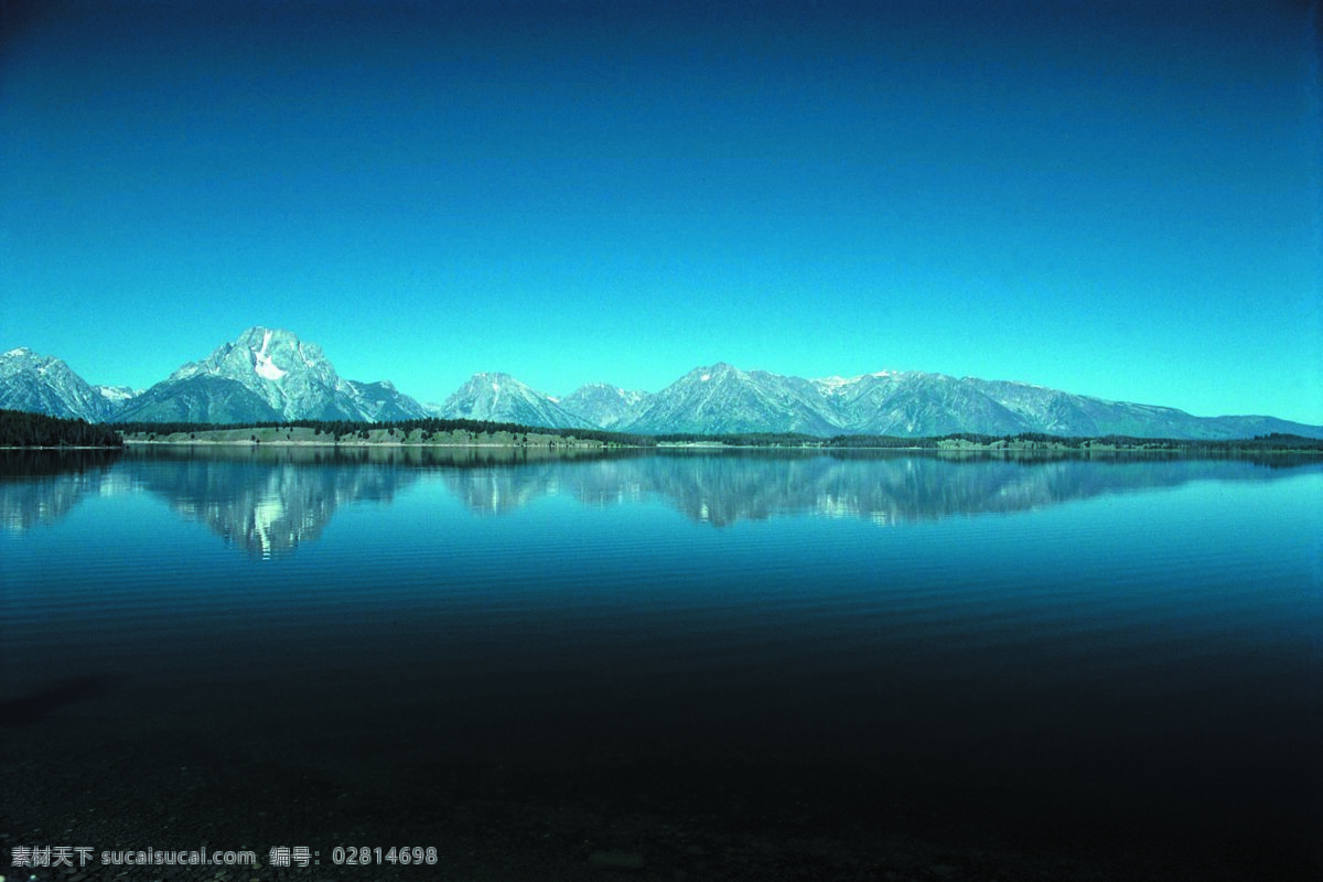 树免费下载 风景 山水风景 摄影图 树 自然景观 水 家居装饰素材 山水风景画