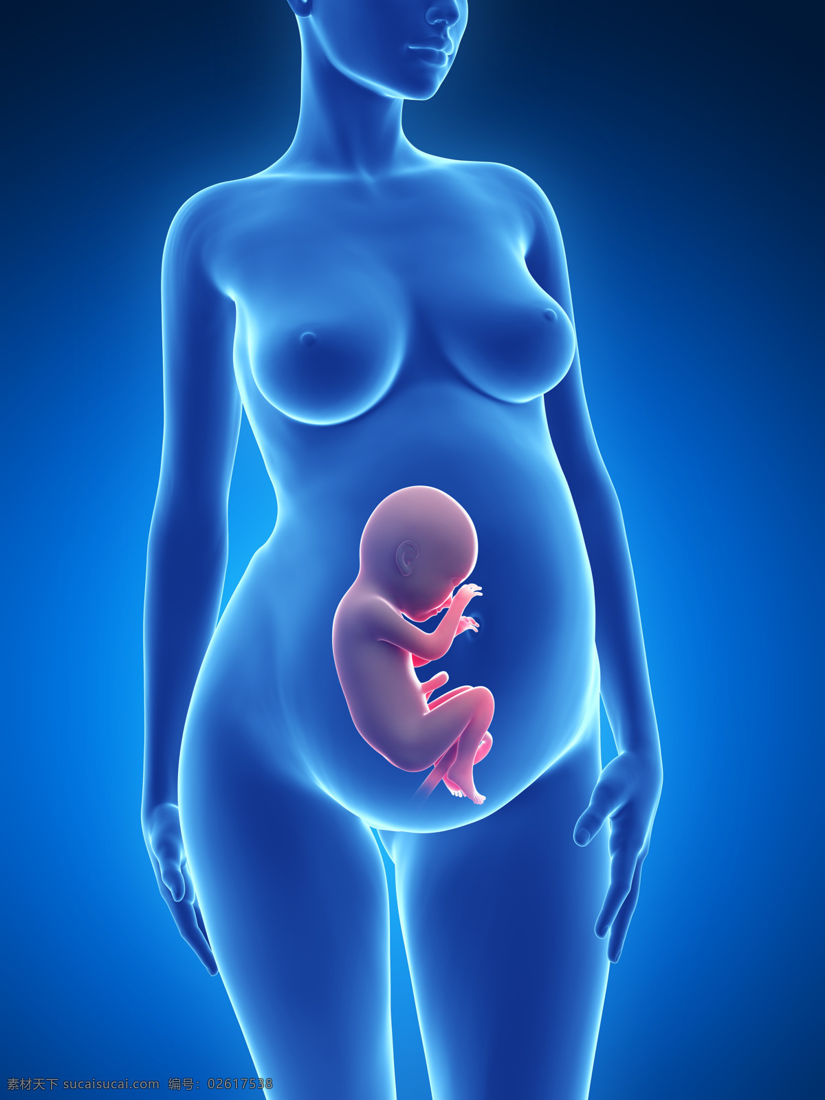 发育中的婴儿 唯美 炫酷 3d 胚胎 发育 婴儿 早期婴儿 初期婴儿 怀孕 子宫里的婴儿 3d设计