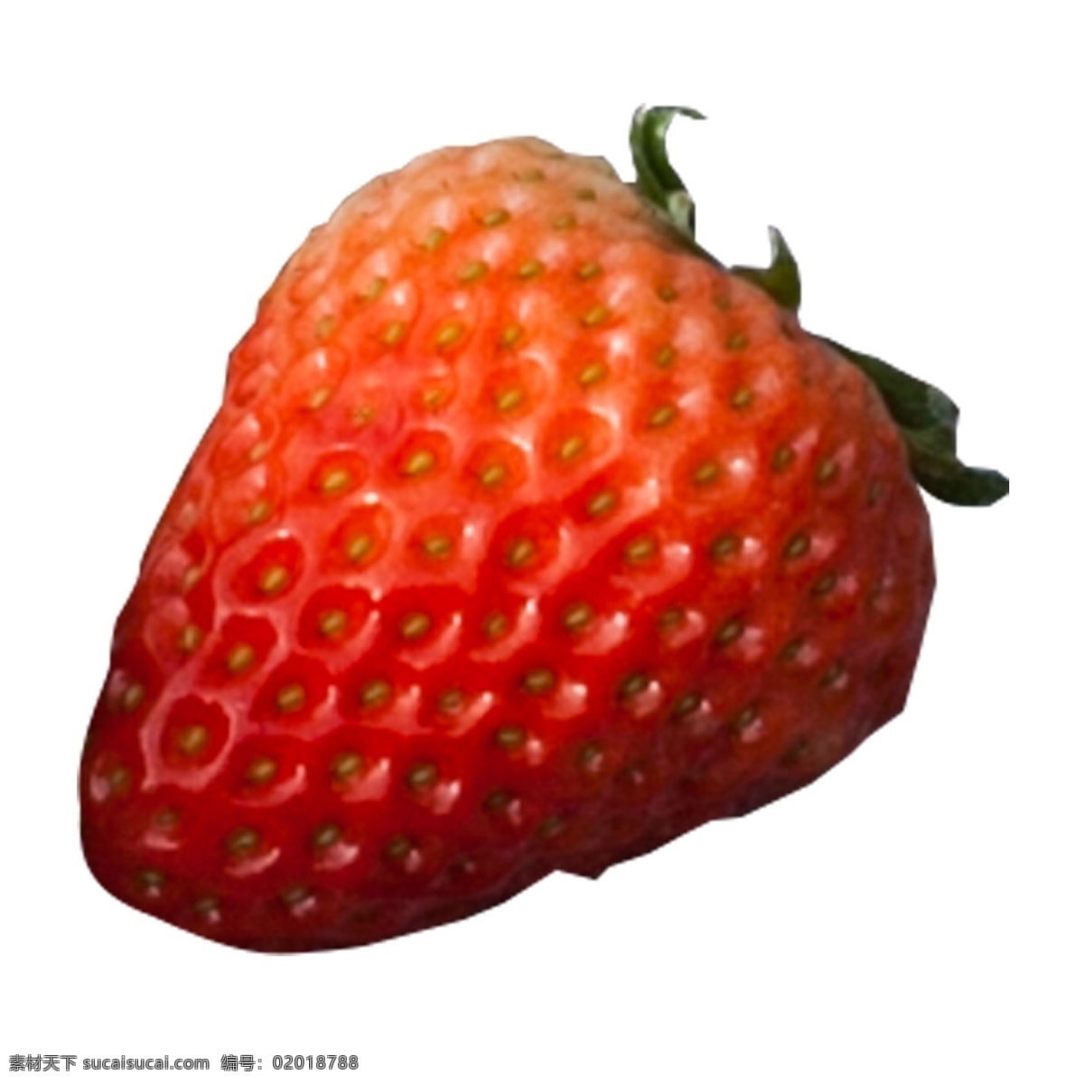 实拍 种植 水果 草莓 红色 红色草莓 营养 营养草莓 菜盆 草莓果盘 水果草莓 实拍水果草莓 实拍野炊聚会
