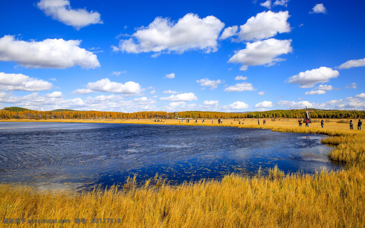 七星 湖 湿地 唯美 清新 自然风景 风景 自然 七星湖 自然景观