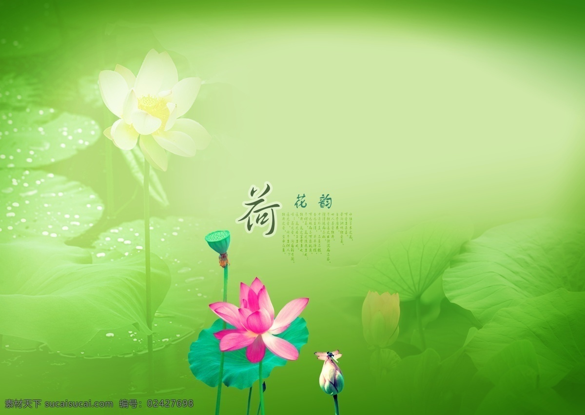 荷花 韵 分层 风景 创意风景 高精度 荷花池 荷叶 花草 卡通风景 莲蓬 荷花韵 梦幻风景 韩国风景分层