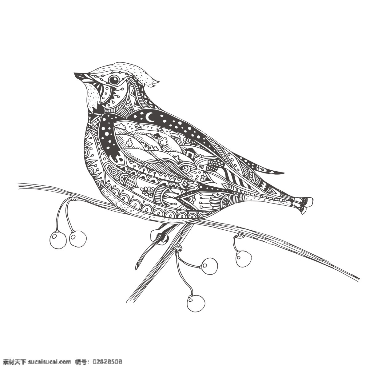 黑白 时尚 艺术 小鸟 插画 动物 花纹 线条