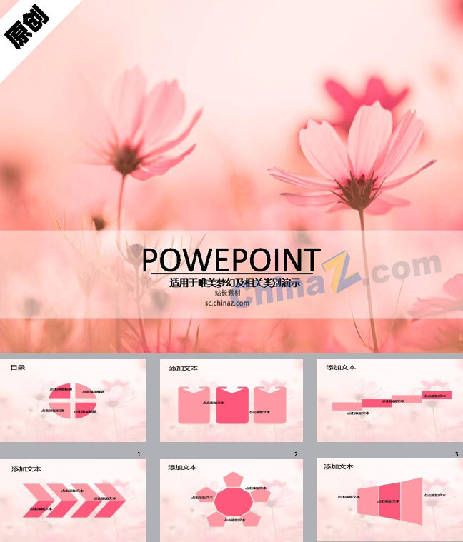 粉色 花朵 背景图片 粉色花朵 唯美 温馨 模板