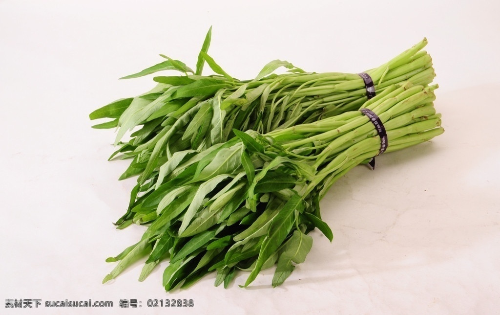 空心菜 绿色蔬菜 蔬菜 生物世界