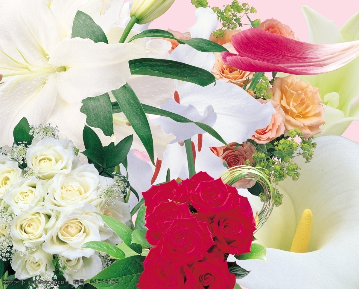 鲜花 分层 白玫瑰 百合花 红玫瑰 黄玫瑰 马蹄莲 鲜花模板下载 源文件 鲜花素材下载 psd源文件
