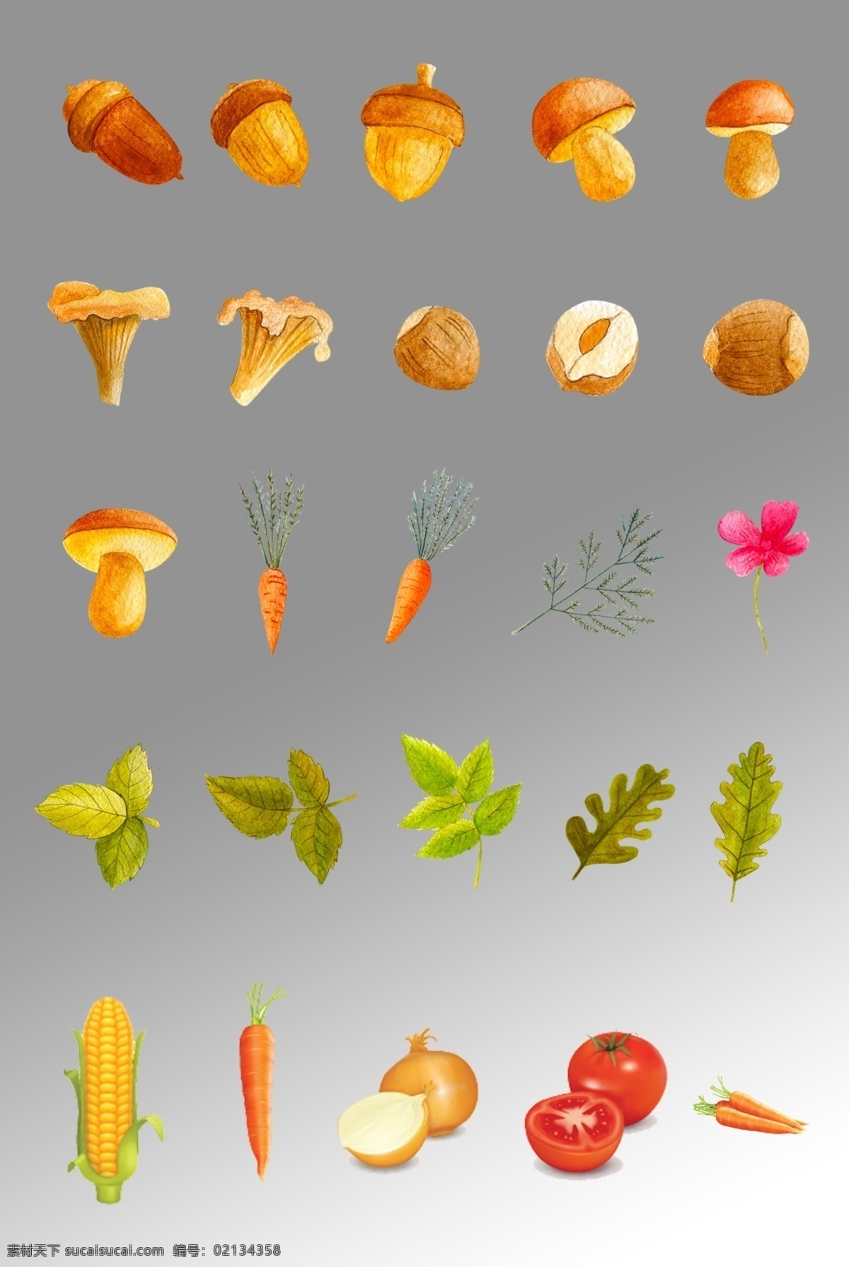 组 水彩 写实 蔬菜 插画 卡通 手绘 矢量图 设计元素 装饰图案 食物