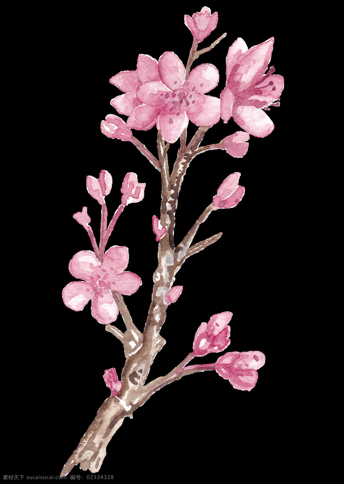 手绘 枝 桃花 树枝 透明 粉红色 花卉 免扣素材 树干 透明素材 装饰图片 棕色
