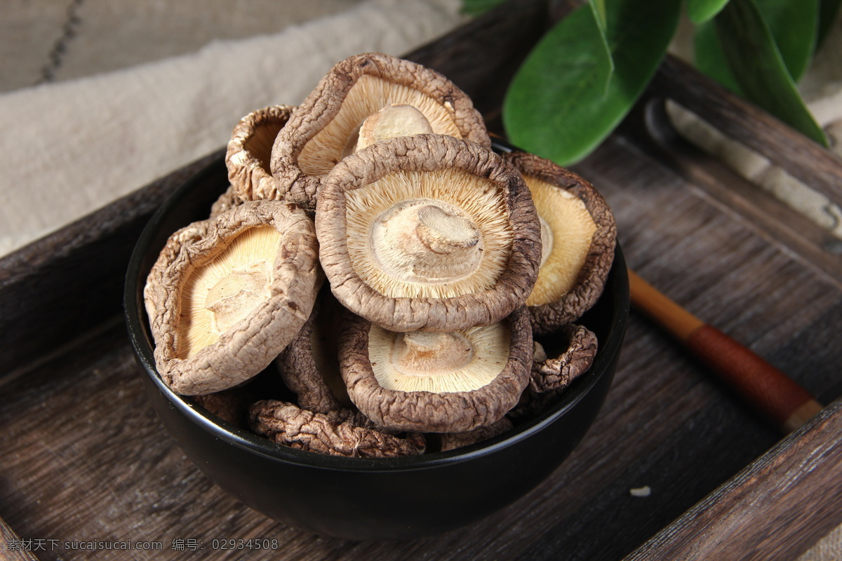 香菇 花菇 菌菇 香菇炖鸡 小鸡炖蘑菇 餐饮美食 食物原料