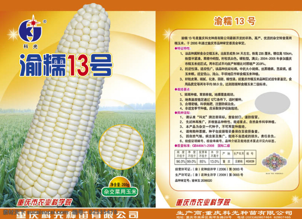 玉米种子包装 玉米 农作物 农作物包装 包装设计 玉米棒子 玉米粒 玉米地 白色
