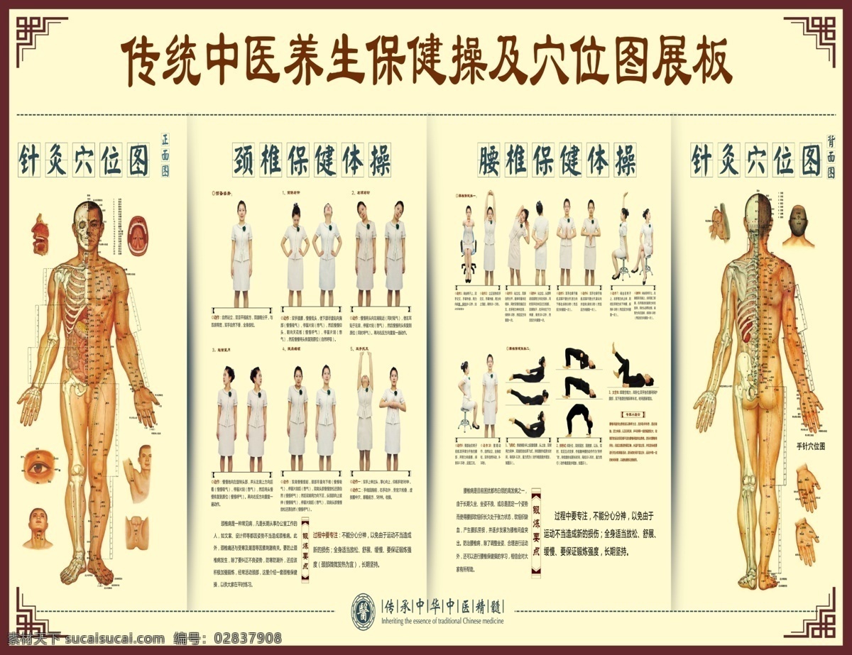 中医 中药 养生 穴位 保健 展板模板