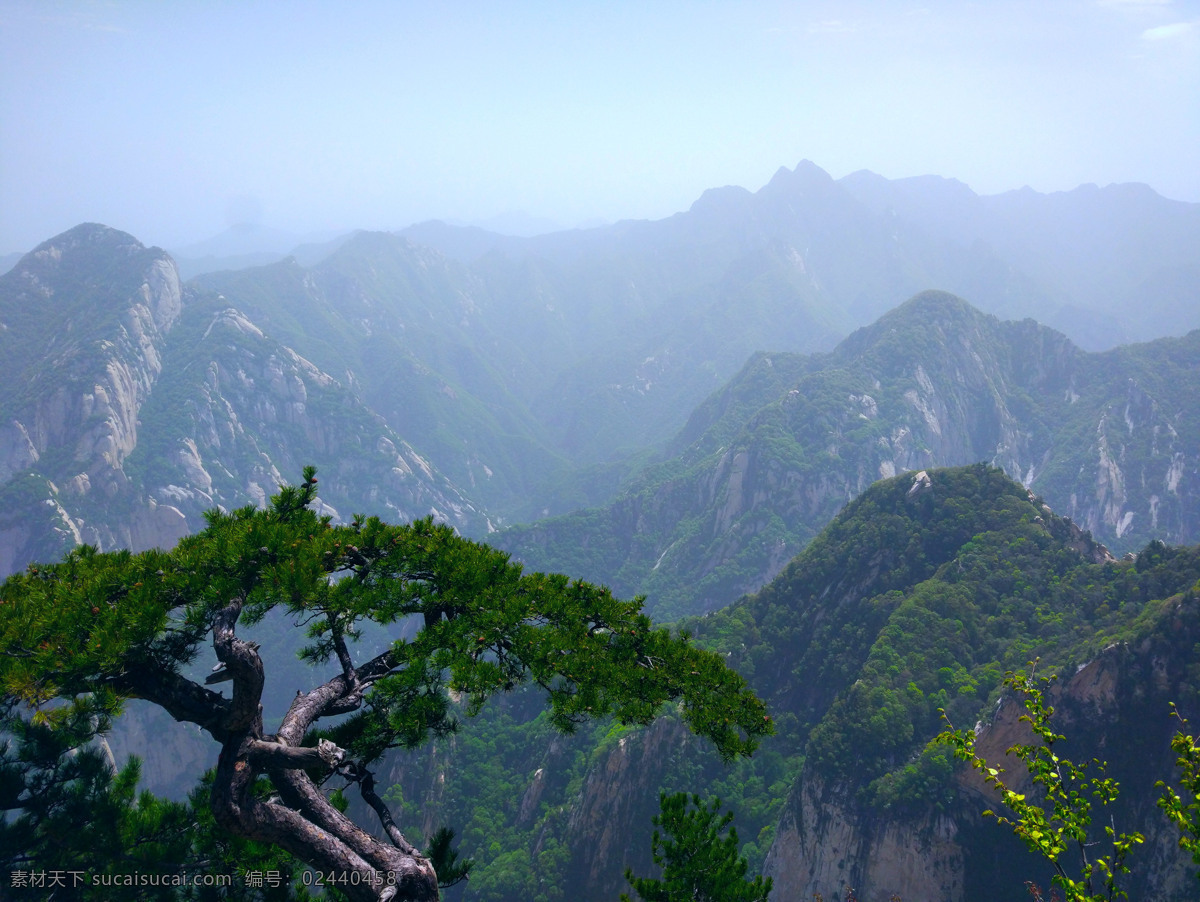 华山 山顶 西岳 风景 壮观 松柏 险峻 悬崖 峭壁 美景 自然景观 山水风景