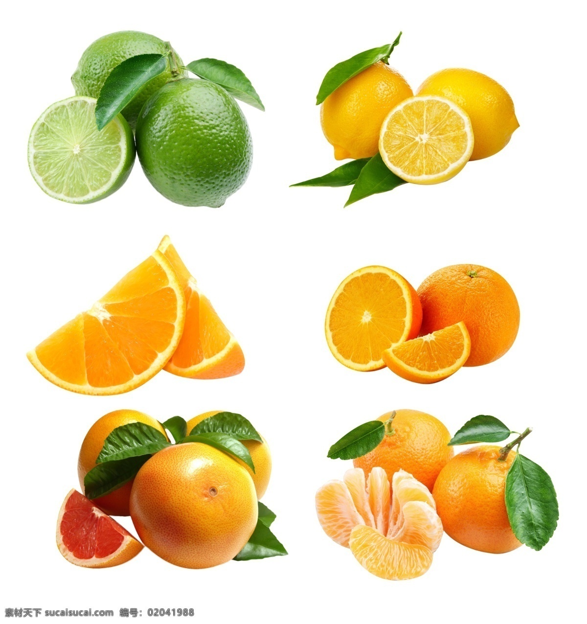 橙子 柠檬 橘子 矢量素材 水果 手绘 水果大全 新鲜水果素材 矢量水果素材 矢量 水果素材 新鲜水果 矢量水果 写实水果 矢量橙子 橙子素材 橙子切片 切开的橙子 脐橙 新鲜橙子 橙子大全 柠檬素材 矢量柠檬 新鲜柠檬 青柠檬 橘子素材 新鲜橘子 水果大丰收 大丰收