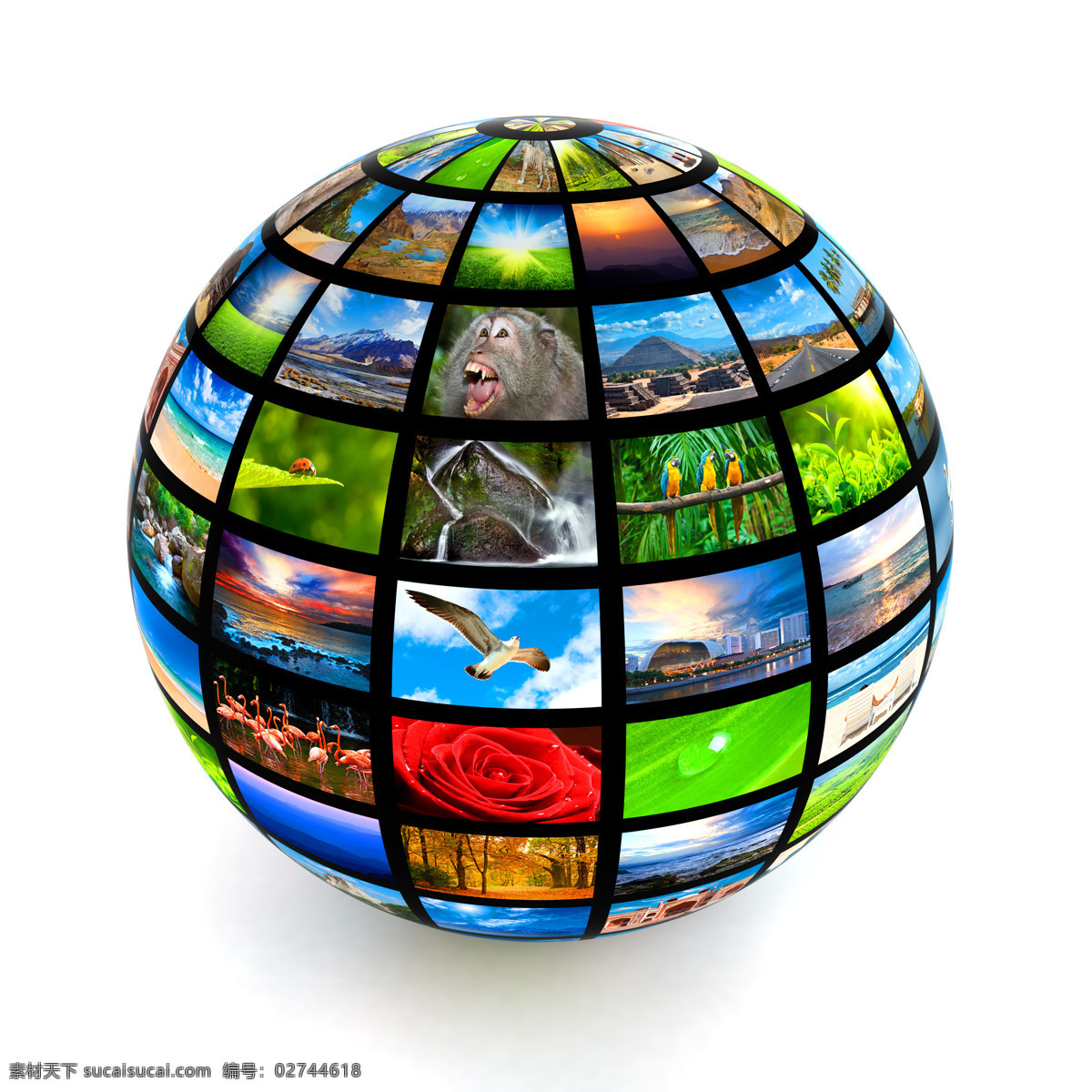 保护 地球 创意 广告 地球素材 创意地球 地球广告 保护地球 动物 个性地球 3d 3d地球 地球图片 图片图库 办公学习 生活百科 白色