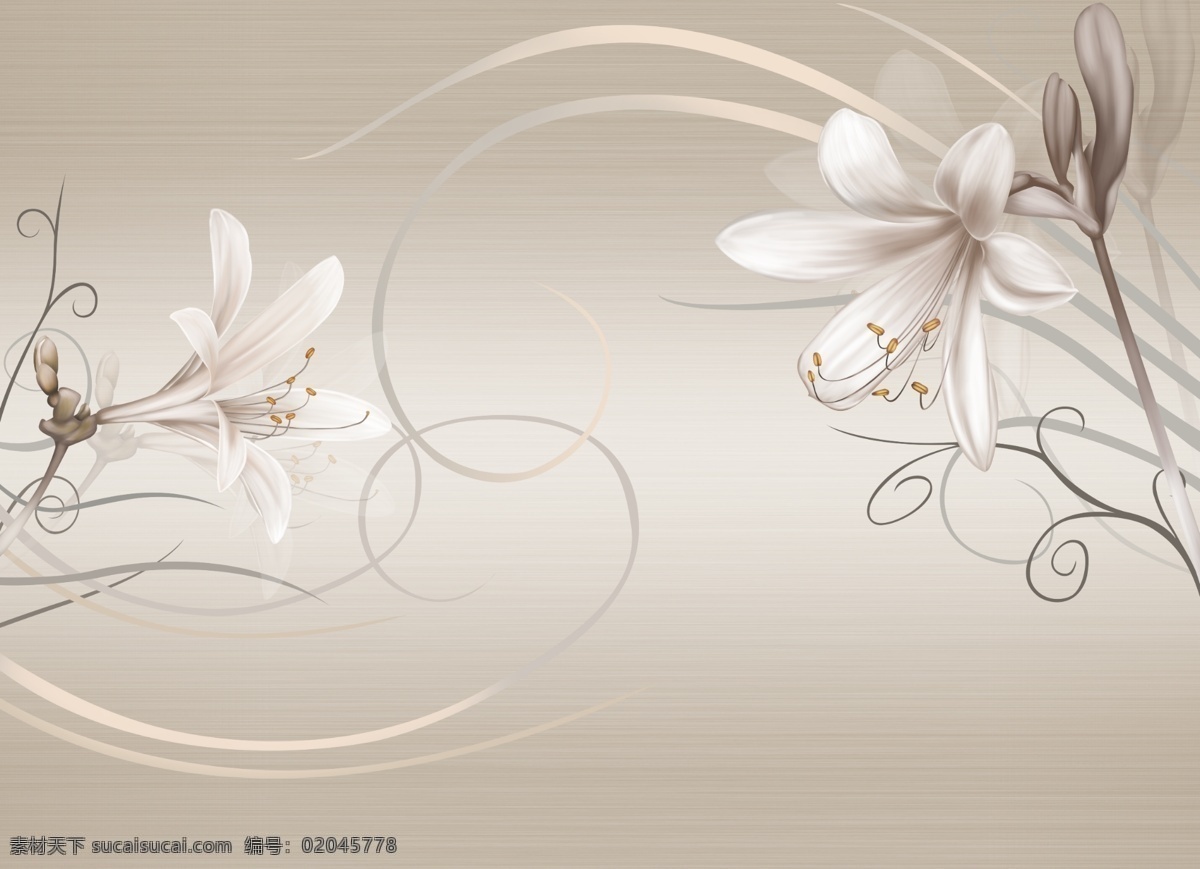 百合花纹图 百合 花纹 图 花朵 梦幻