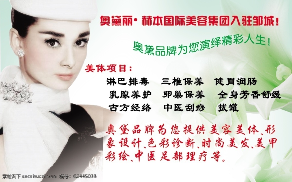 分层 花朵 卡片 美容 美体 名片 时尚美发 形象设计 青 格里 美丽 坊 模板下载 青格里美丽坊 奥黛丽 赫本 色彩诊断 美甲彩绘 中医足部理疗 纯静 源文件 海报 宣传海报 宣传单 彩页 dm