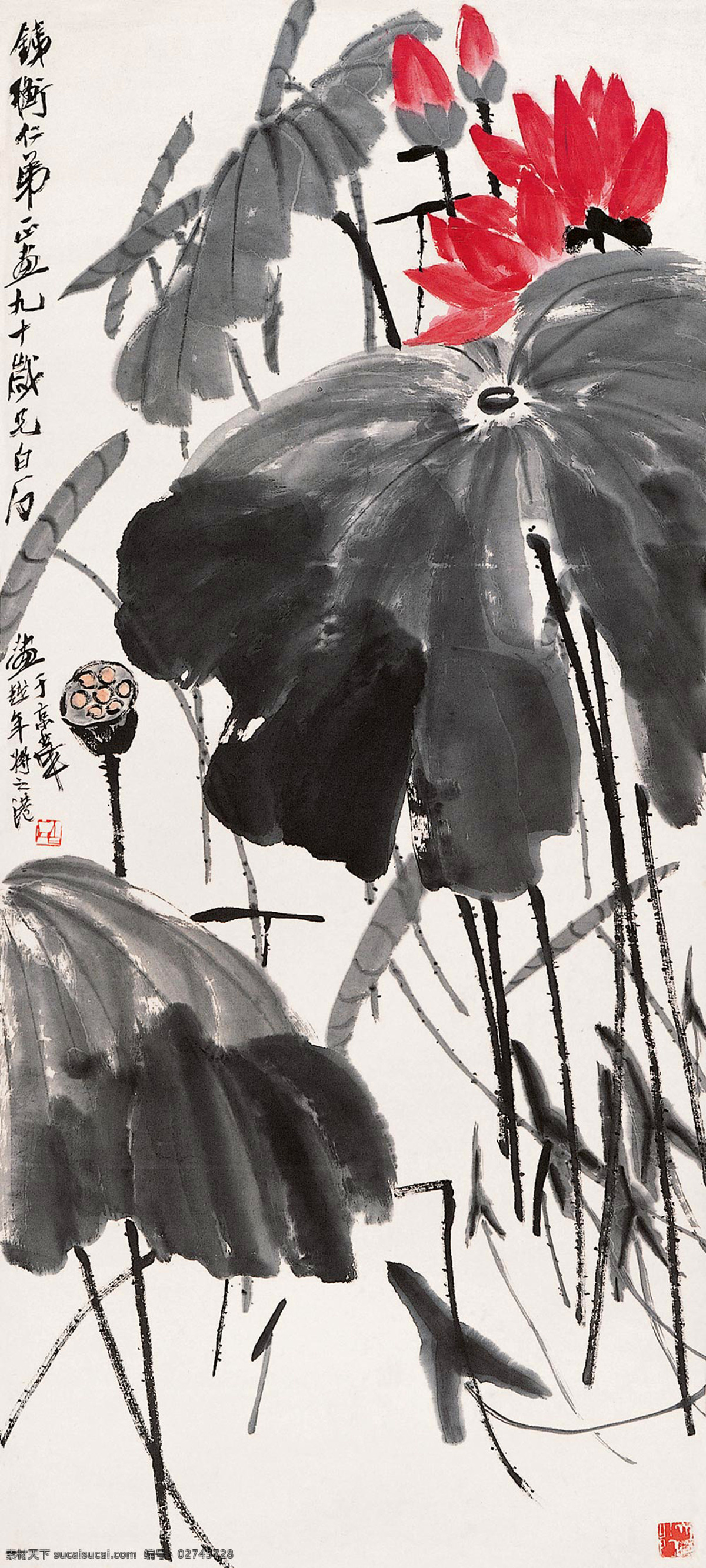 荷花 国画 齐白石 映日荷花 荷塘 红荷 花卉 绘画书法 文化艺术 草虫