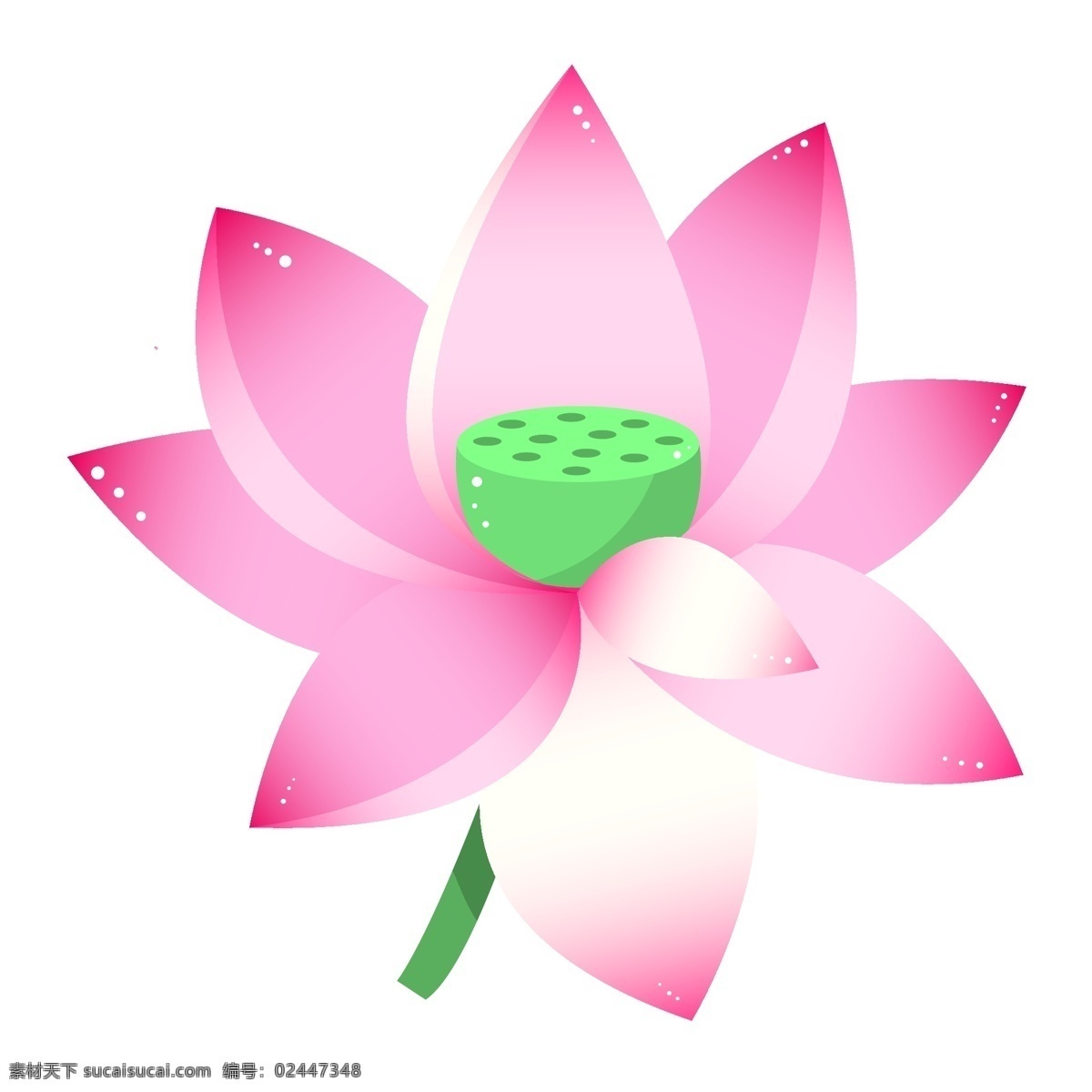 粉色 荷花 装饰 插画 粉色的荷花 漂亮的荷花 荷花装饰 荷花插画 绿色的莲蓬 创意荷花 植物装饰