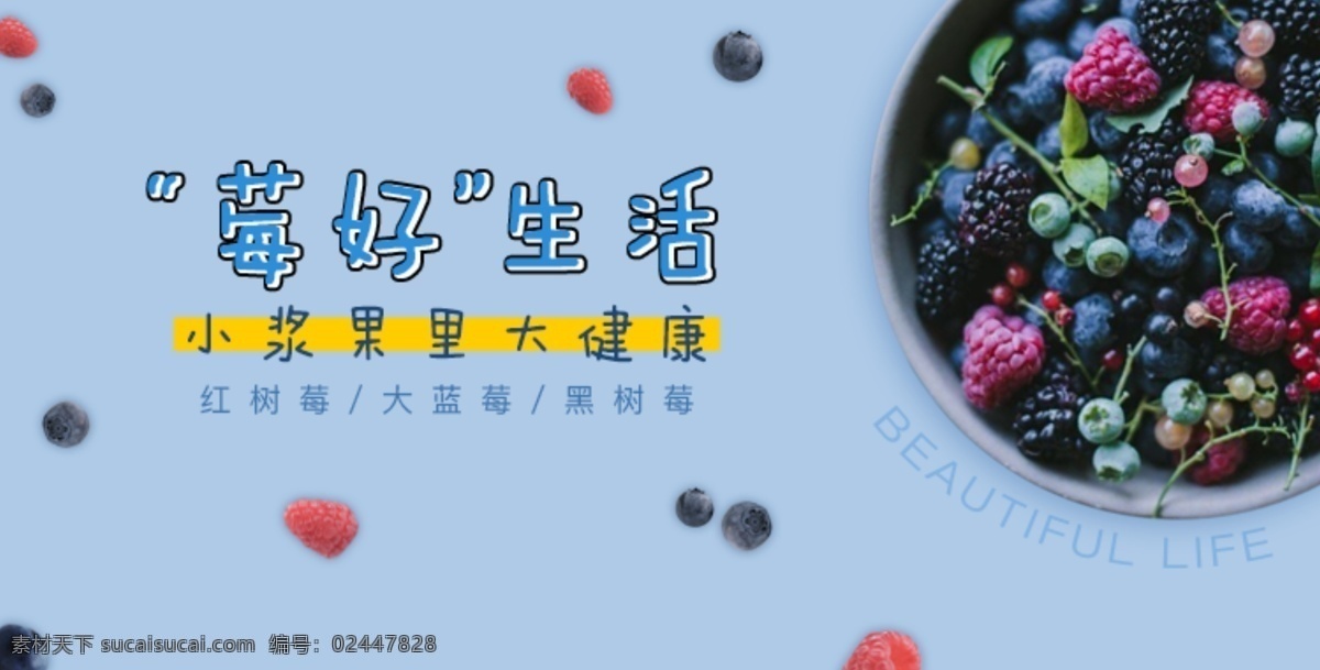 莓 水果 banner 海报 淘宝模板下载 淘宝设计 淘宝素材 蓝色 蔓越莓 红树莓
