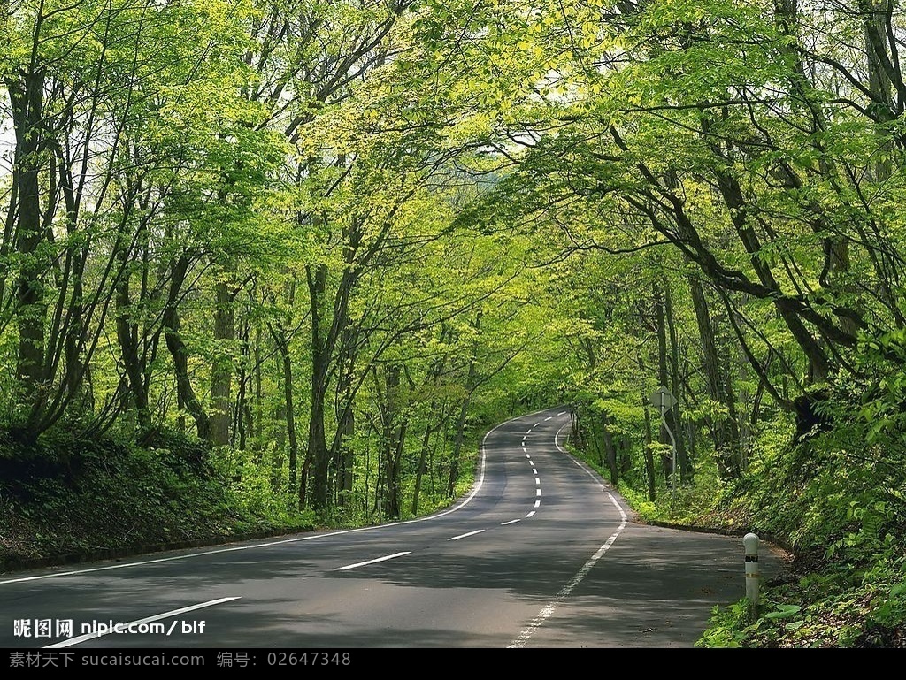 山间公路 公路 绿树成荫 小山坡 旅游摄影 自然风景 摄影图库 bmp