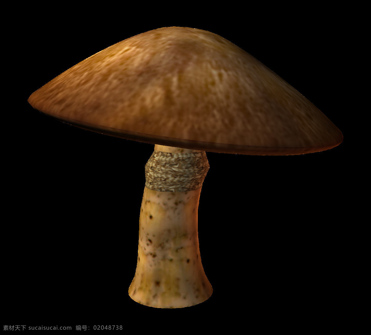 雨 后 新鲜 蘑菇 元素 菌类 美食
