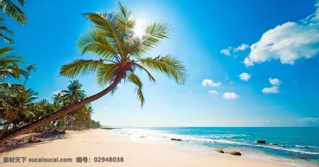 海边椰树 风景优美 美丽风光 景观 大海 蓝天 白云 沙滩 阳光 自然景观 自然风景