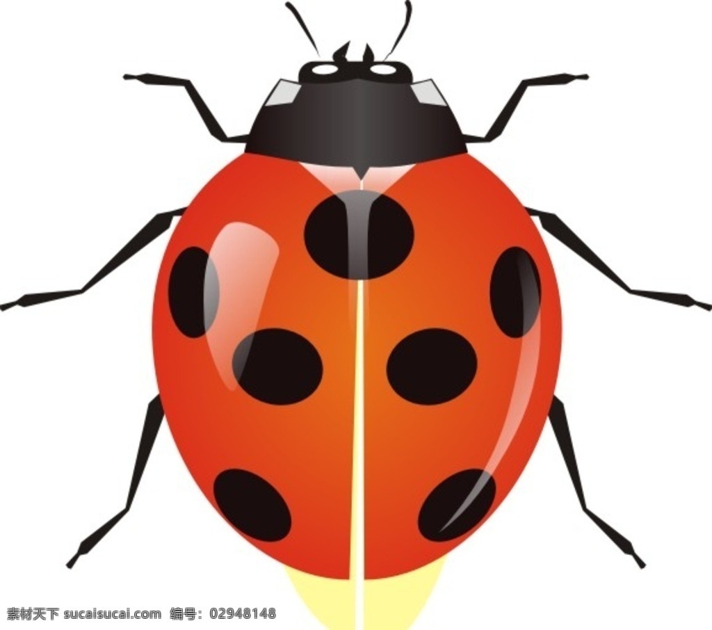 瓢虫 甲壳虫 卡通瓢虫 黑点点 橙色的瓢虫 卡通动物虫
